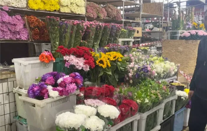 Оптовая продажа цветов на Рижском рынке