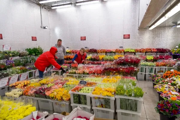 Рижский рынок цветов. Часы работы цветочной базы в Москве, цены