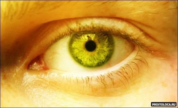 желтые глаза