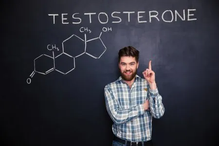 Что происходит, когда уровень тестостерона повышается или понижается?