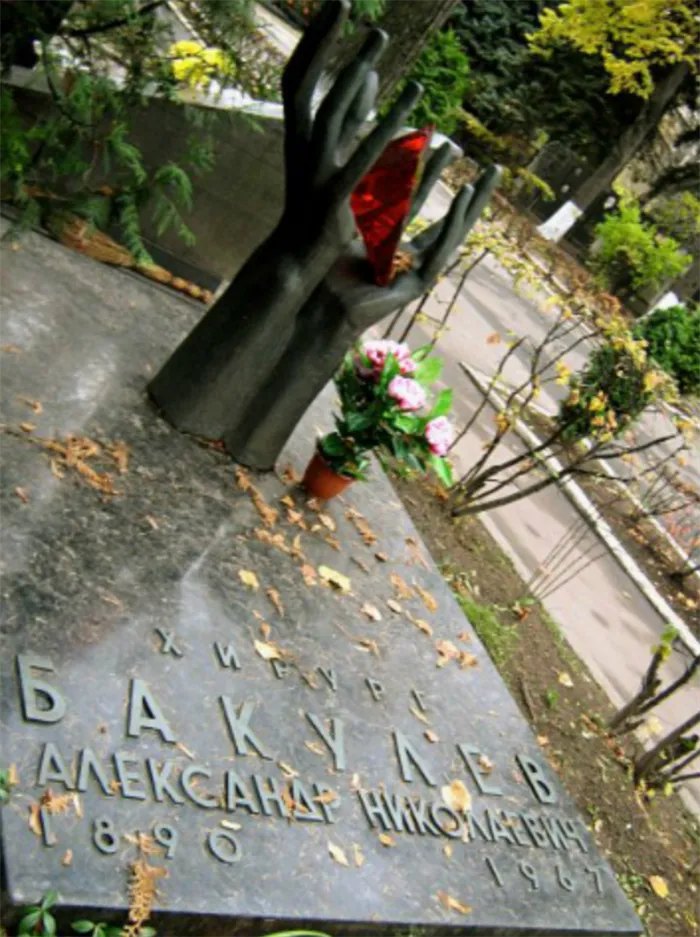 Могила Александра Бакулева на Новодевичьем кладбище. Фото: Liza vetta/Wikimedia Commons