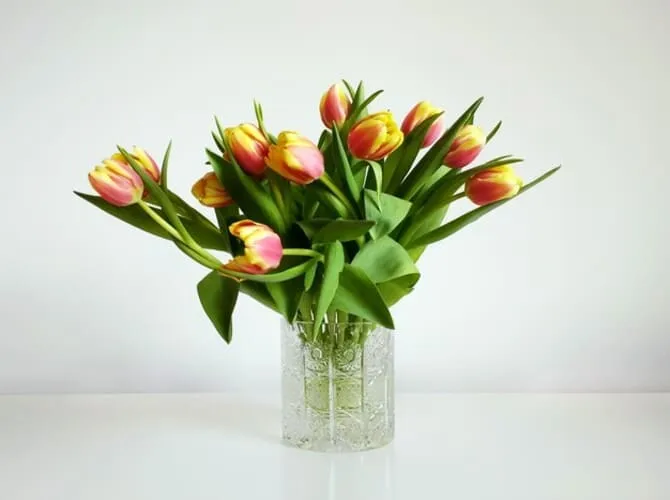 Фото тюльпанов в вазе
