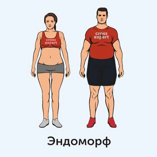 эндоморф - тип телосложения