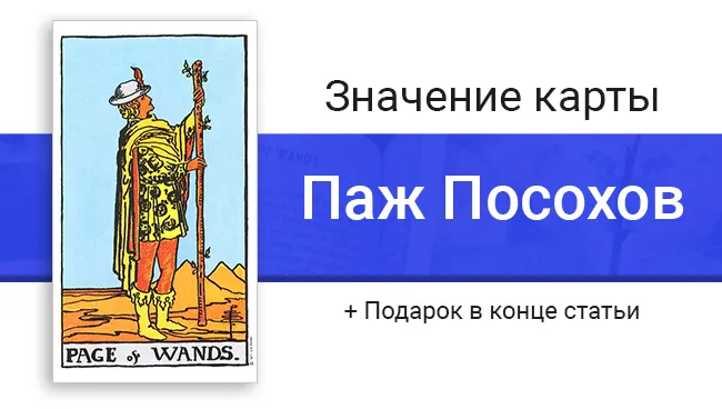 Баннер для статьи о значениях карты Таро Пажа Посохов (Жезлов)