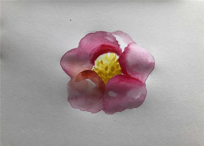 Как научиться рисовать акварелью цветок - 3 этап - фото
