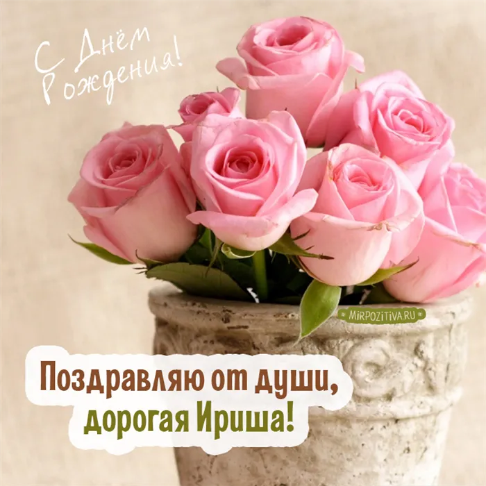 розовые розы - Дорогой Ирише