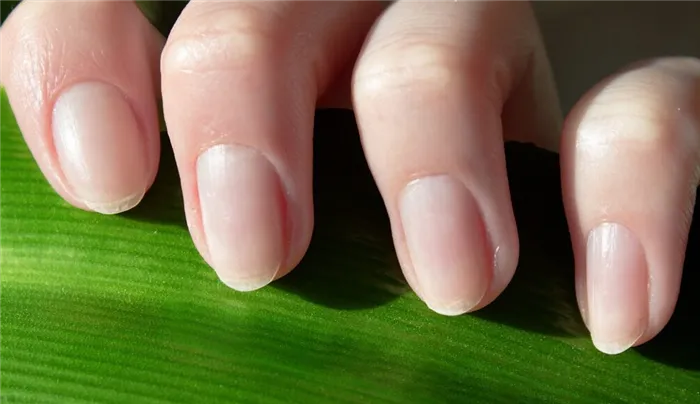 Овальная форма ногтей
