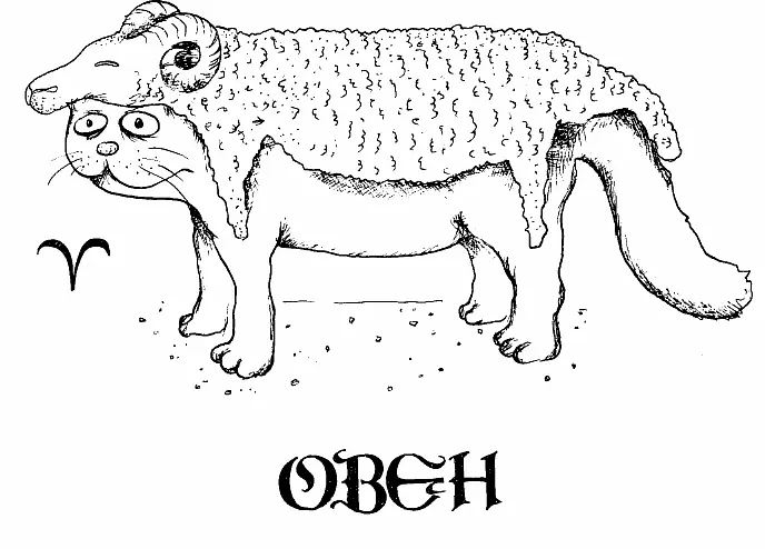 Кошачий гороскоп: характеры котеек по гороскопу