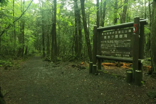 Табличка с предупреждением в лесу Аокигахара