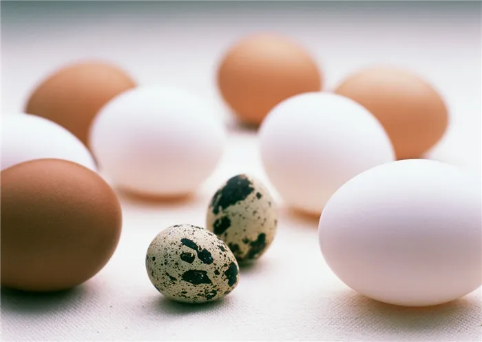 Яйца в правильном питании