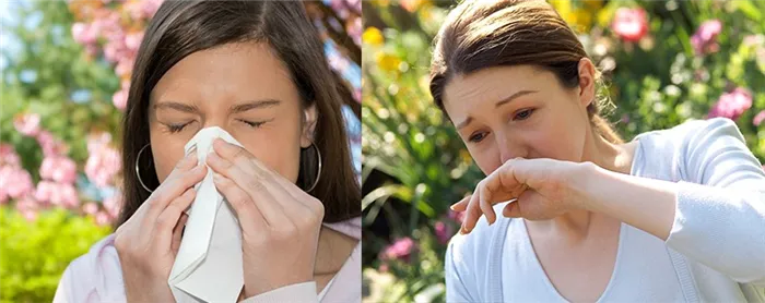 респираторная аллергия