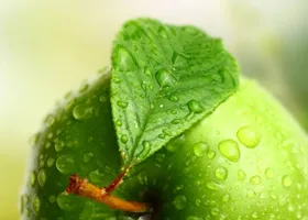 Яблоки - главный продукт 1 этапа диеты 