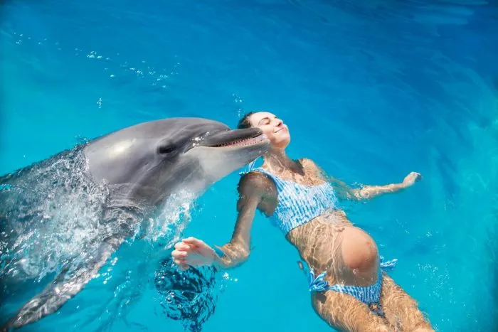 Беременная плавает с дельфином