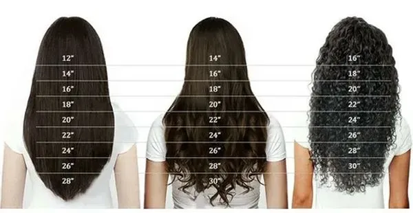 длина волос