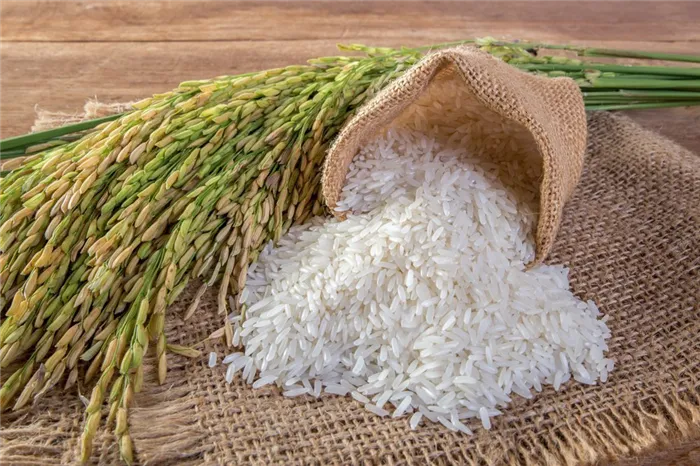 Преимущества и недостатки питания рисом