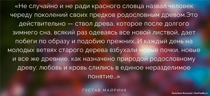 Семейное древо семьи: 4 вида, как составить родовое дерево красиво и правильно