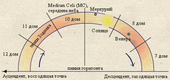 Что такое середина неба (МС, Медиум цели, Зенит в астрологии)