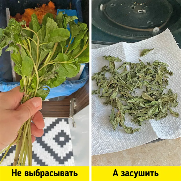 Сушка зелени в микроволновке